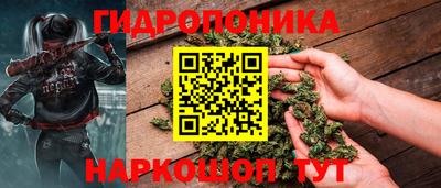 jwh Кинель