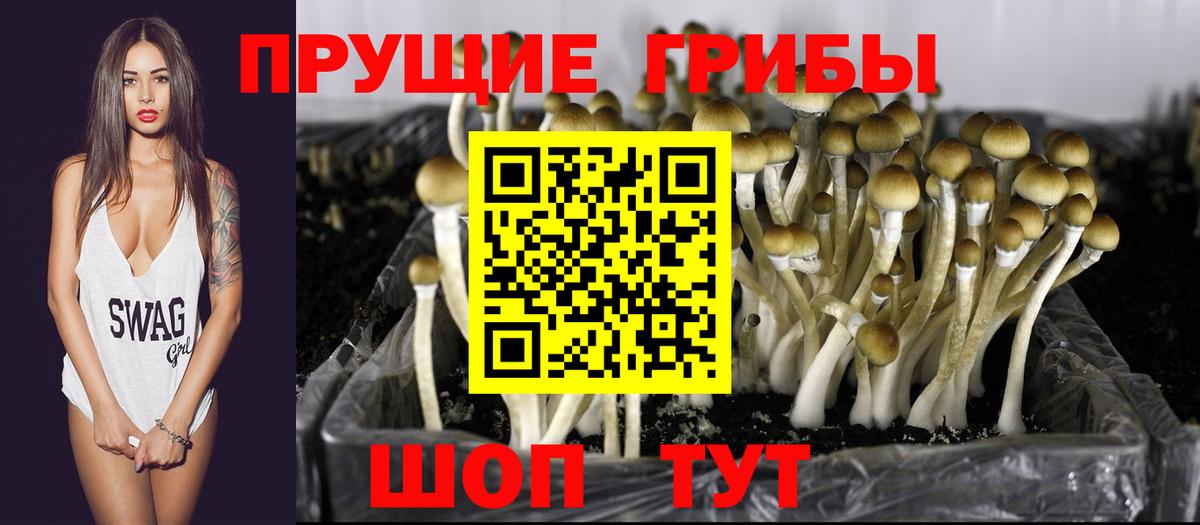 Псилоцибиновые грибы GOLDEN TEACHER Елец