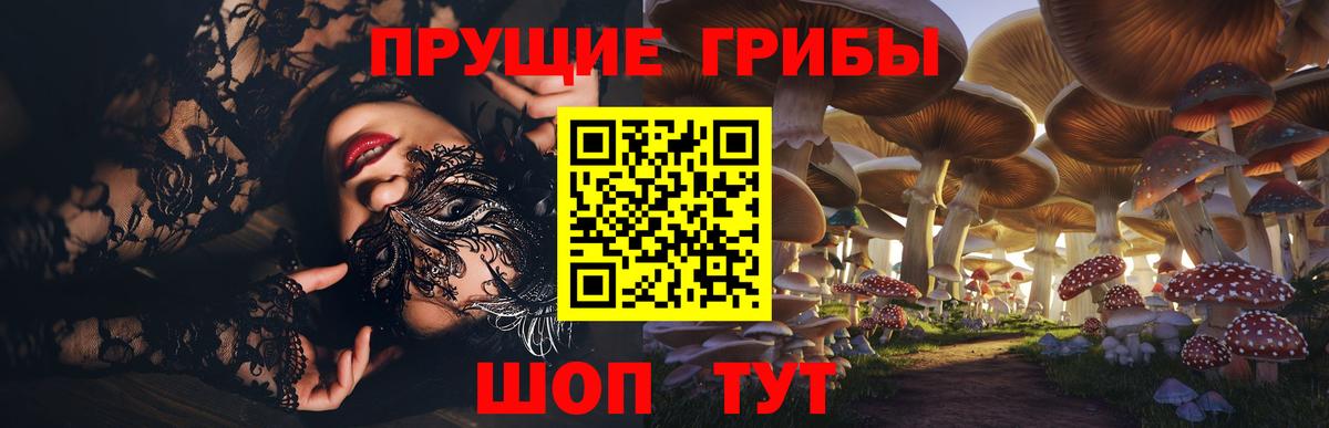 Елец  Галлюциногенные грибы GOLDEN TEACHER  Вход с VPN 